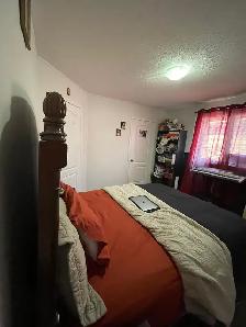 4 Bedroom Upper level housefor Rent Chinguacousy&Sandalwood Nov1 - Photo 20