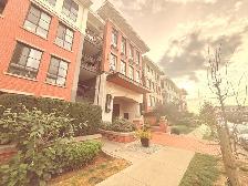 Spacious 2Bed 2Bath 900sqft Apartment in South Surrey