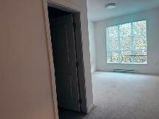 Spacious 2Bed 2Bath 900sqft Apartment in South Surrey - Photo 3