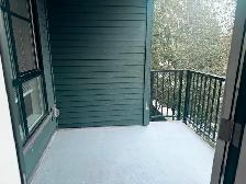 Spacious 2Bed 2Bath 900sqft Apartment in South Surrey - Photo 7