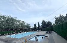 Spacious 2Bed 2Bath 900sqft Apartment in South Surrey - Photo 9
