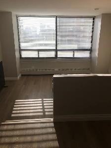 BACHELOR Suite for rent DOWNTOWN-Hargate Building