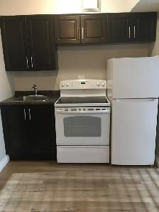BACHELOR Suite for rent DOWNTOWN-Hargate Building - Photo 3