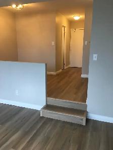 BACHELOR Suite for rent DOWNTOWN-Hargate Building - Photo 4