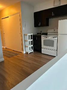 BACHELOR Suite for rent DOWNTOWN-Hargate Building - Photo 5