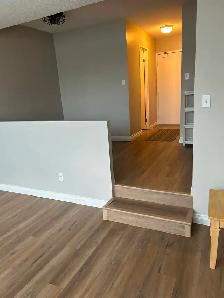 BACHELOR Suite for rent DOWNTOWN-Hargate Building - Photo 6