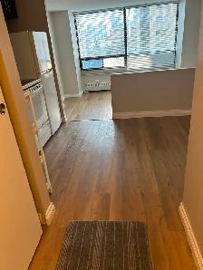 BACHELOR Suite for rent DOWNTOWN-Hargate Building - Photo 9