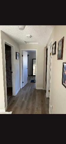 House Rental Greenview community - Photo 7