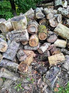 Bois de chauffage - Photo 2