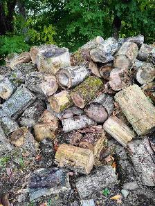 Bois de chauffage - Photo 4