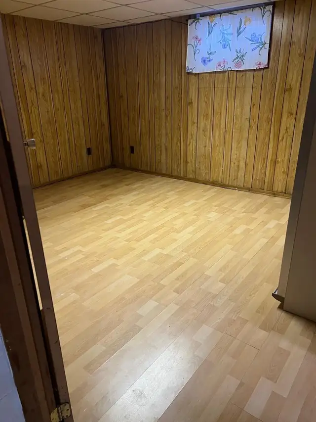 rent the basement