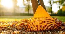 leaf removal / leaf remove - Photo 2
