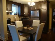 BREATHTAKING ONE BEDROOM APT  RENTAL 4 A PROFESSIONAL - Photo 2