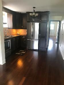 BREATHTAKING ONE BEDROOM APT  RENTAL 4 A PROFESSIONAL - Photo 4