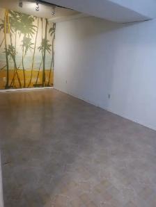 One Bedroom Basement Steps away Ellesmere Bus Line