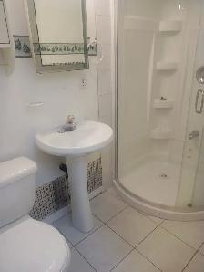 One Bedroom Basement Steps away Ellesmere Bus Line - Photo 3