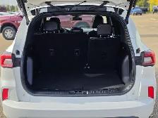 2024 Ford Escape ST-Line - Photo 6