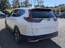 2020 Honda CR-V LX ALLOYS | CRUISE | BLUETOOTH | BACKUP CAMER... - Photo 4