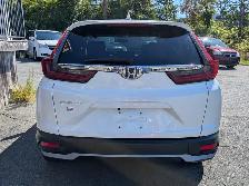 2020 Honda CR-V LX ALLOYS | CRUISE | BLUETOOTH | BACKUP CAMER... - Photo 5