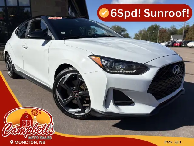 2019 Hyundai Veloster Turbo Tech Turbo Tech Manual Two-Tone