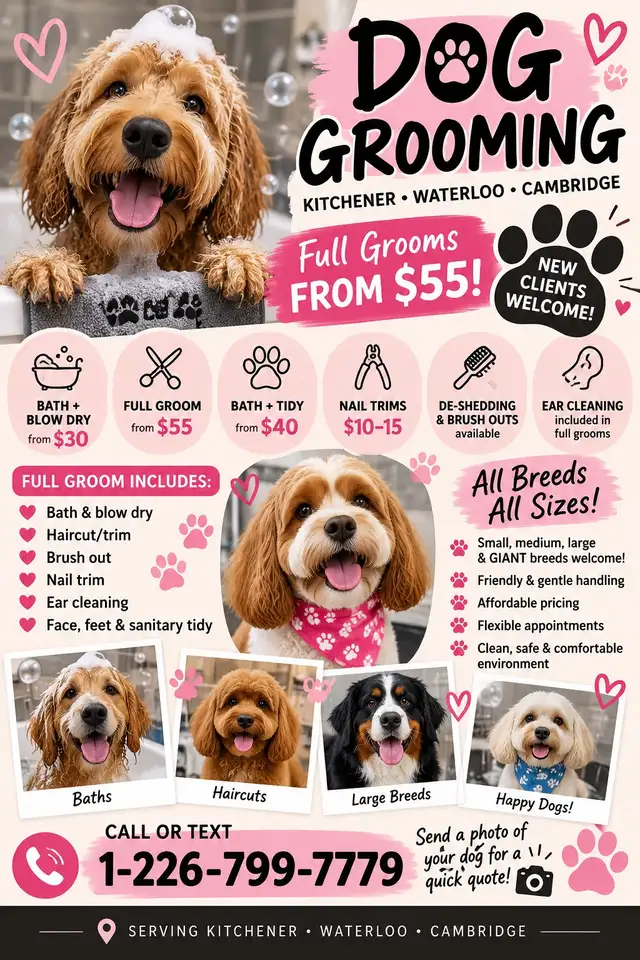 Dog groomer