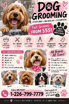 Dog groomer