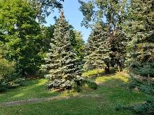 TOUT INCLUS! Condo de Luxe 3 1/2 830p.ca, MEUBLÉ à louer - Photo 5