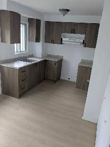 Ville LaSalle 4 1/2 à louer / for rent - Photo 7