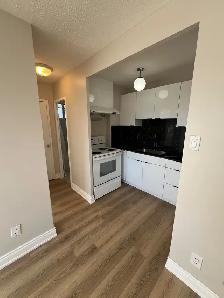 1 BEDROOM - APARTMENT FOR RENT AT WESTON AND LAWRENCE - Photo 3
