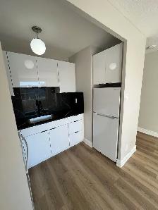1 BEDROOM - APARTMENT FOR RENT AT WESTON AND LAWRENCE - Photo 4