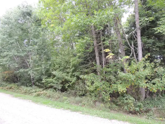 Lakefront Lot