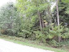 Lakefront Lot