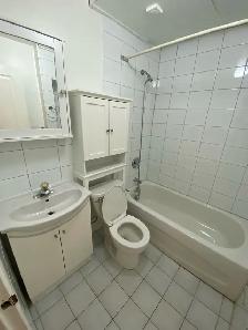 One Bedroom Apartment in Hamilton Gage Park area - Photo 3