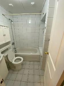 One Bedroom Apartment in Hamilton Gage Park area - Photo 4