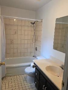 Beautiful 1 BDRM Main Floor Apartment (Central Ave) - Photo 7