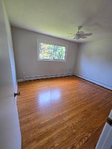 Spacious Classic 2 BR Apt - Haist Street Fonthill - Photo 4