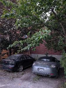Lachine apt  41/2 with double salon (2 floor, separate entra - Photo 2
