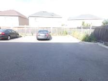 1 Bedroom Basement Apartment at Keele Street and McNaughton Rd - Photo 7