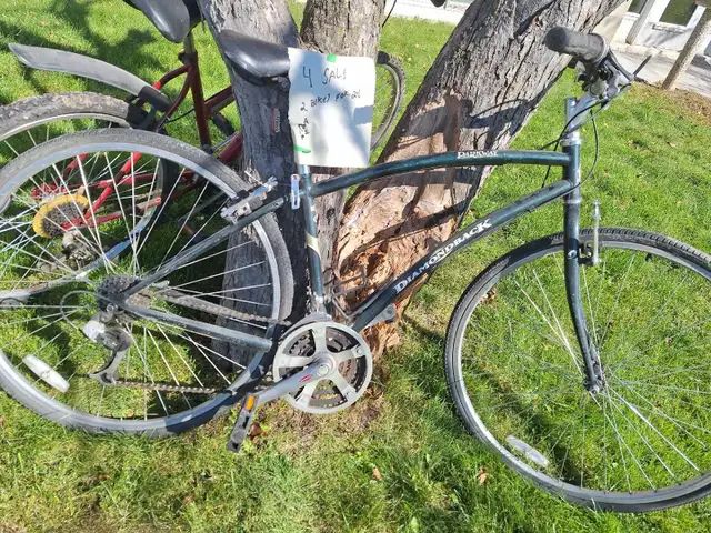 woman's super cycle and diamond back mens bike