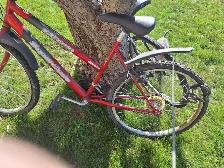 woman's super cycle and diamond back mens bike - Photo 3