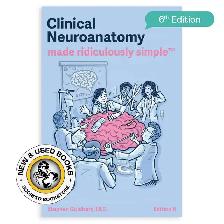 Clinical Neuroanatomy Made Ridiculously Simple 6E 9781935660514