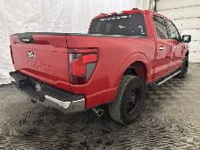 2024 Ford F-150 | XLT 301 5.0 V8 | TOW HAUL PKG | PRO TRAILER - Photo 15