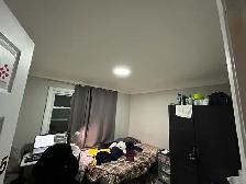 Room for rent U Windsor Oct 1