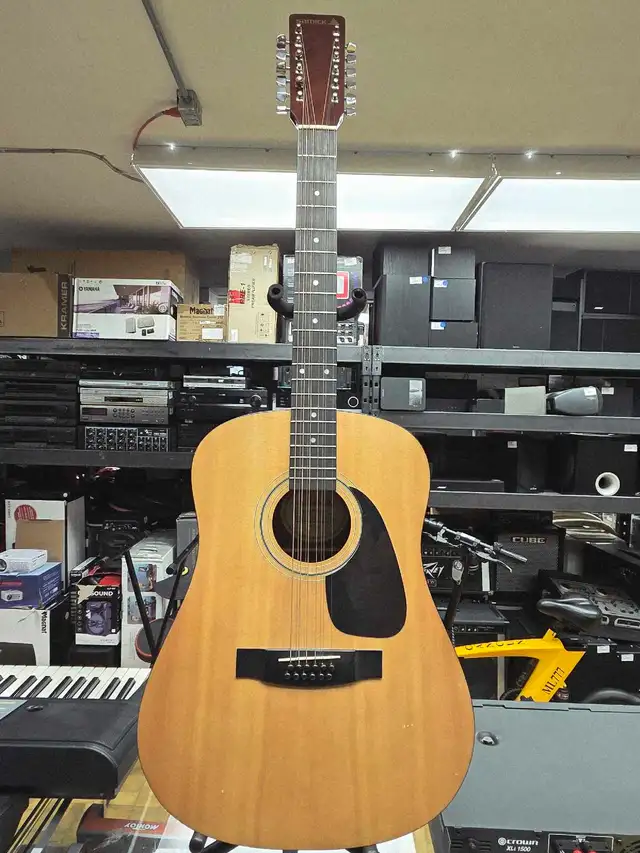 Guitare acoustique 12 cordes Samick