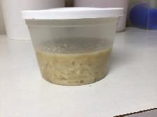 MICROWORMS FOR SALE