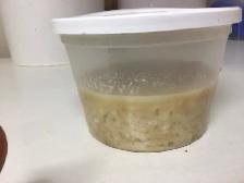 MICROWORMS FOR SALE - Photo 2