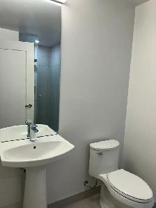 New Downtown Toronto Condo– Private Bedroom-All Utilities & 1Gbp - Photo 10