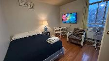 FURNISHED JUNIOR STUDIO IN DOWNTOWN TORONTO - Photo 5