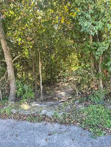 Fall Leaf Cleanup Services