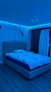 Master bedroom for rent, main floor, GIRLS ONLY in Malton - Photo 3
